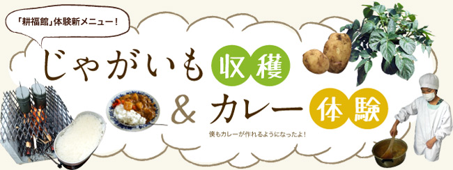 「耕福館」農業体験新メニュー！じゃがいも収穫＆カレー体験！