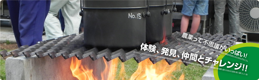 農業体験の様子:自分達で手作りしたカレーを盛り付ける小学生|農業って不思議がいっぱい!体験、発見、仲間とチャレンジ!!