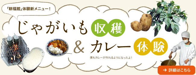 「耕福館」農業体験新メニュー！じゃがいも収穫＆カレー体験！詳細はこちら